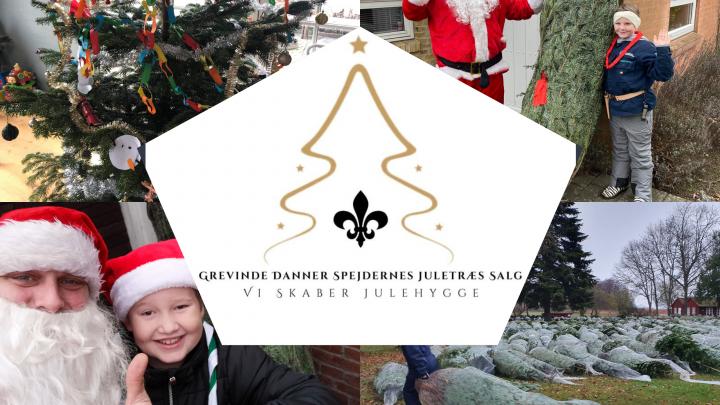 Billede af juletræs salg